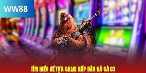 Avt đá gà c3 tại ww88