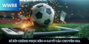 Avt kèo 0-0.5 tại ww88