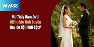 Avt bài viết mơ thấy đám cưới tại ww88